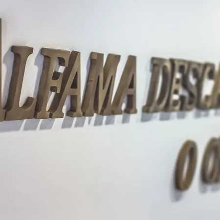 Alfama The Best Lisboa